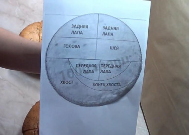 Шаг 7.