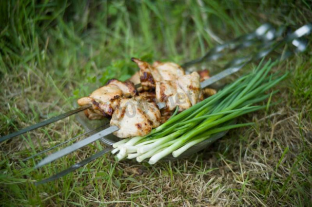 Шашлик з курки на пиві з молоком рецепт з фото покроково 