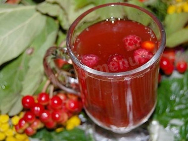 Отвар калины