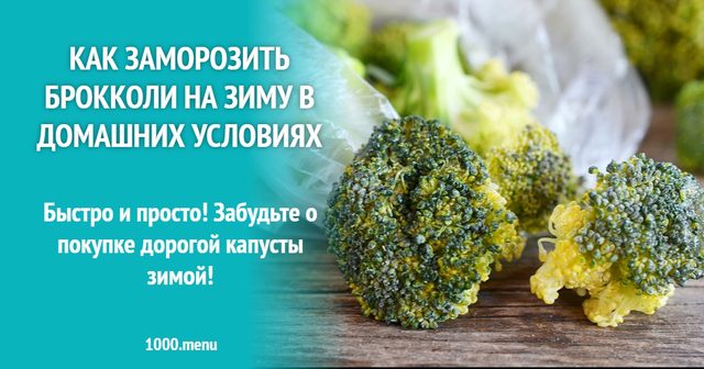 Як заморозити броколі на зиму в домашніх умовах