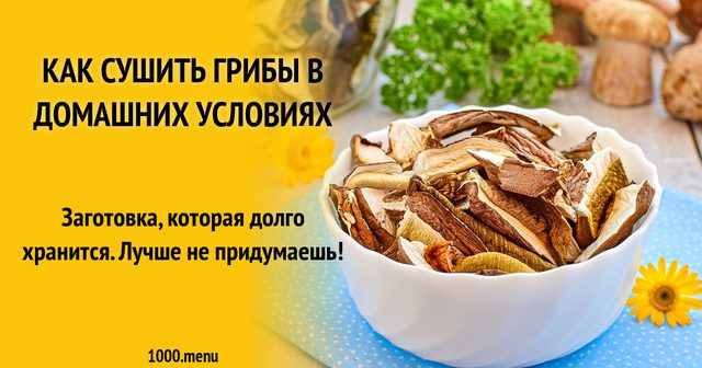 Як сушити гриби в домашніх умовах