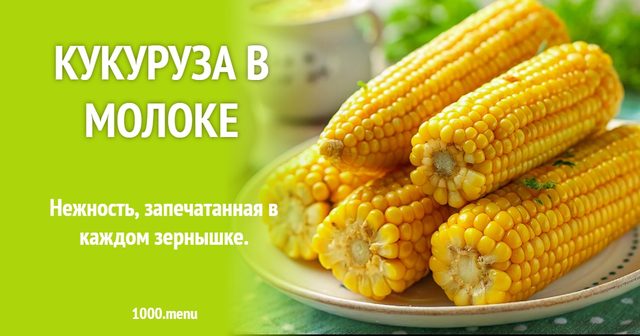 Кукурудза в молоці